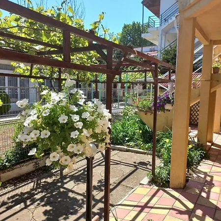 Casa Mimi Pensionat Jupiter